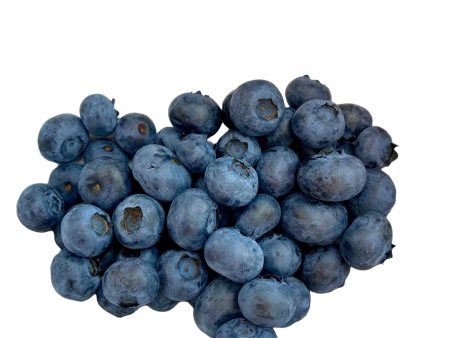 藍莓 - 蓝莓 - BLUEBERRIES 10 oz pack For Discount