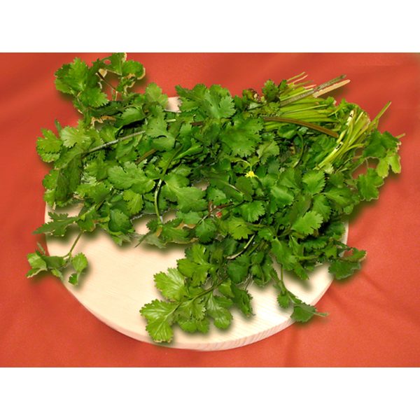 芫荽 - 香菜 - CILANTRO(EA) For Sale