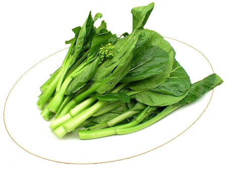 【99熱銷】油菜 - 油菜 - YOU-CHOY 1.4-1.6lb Supply