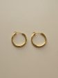 Essential Thin Hoops - Small *18K Gold-plated S925 Online Hot Sale