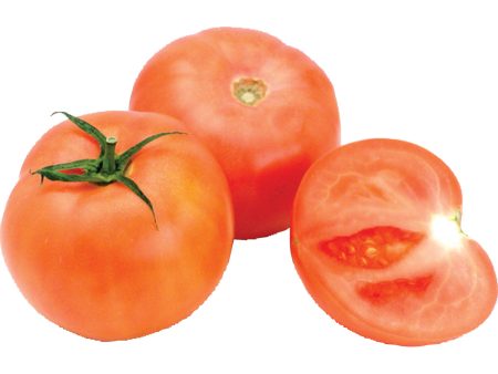 【限時秒殺】蕃茄 - 番茄 - TOMATO 1.8-2.2lb Online Sale