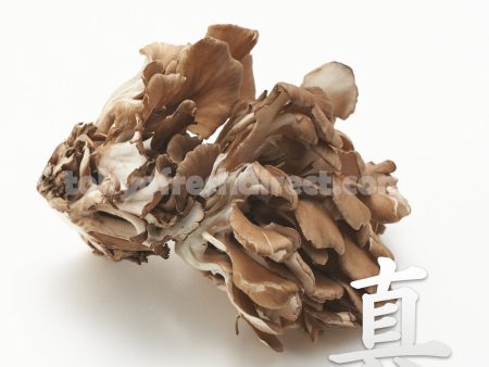 Black Maitake Hot on Sale