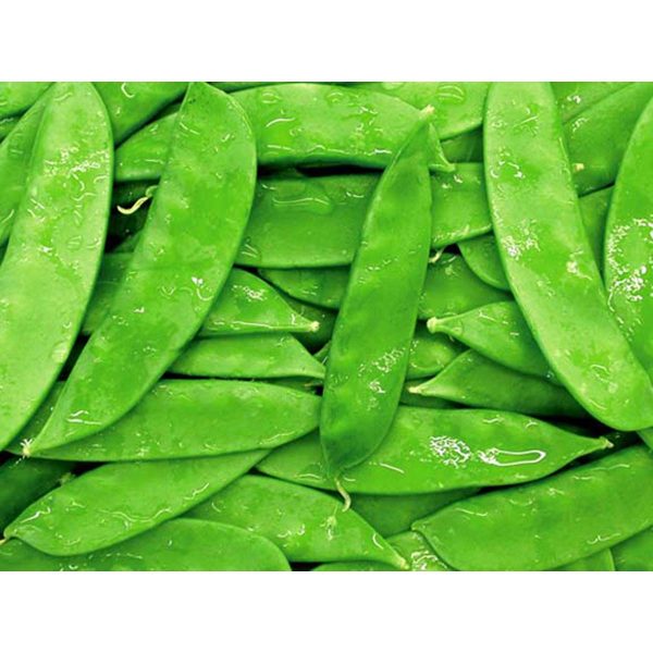 雪豆 - 雪豆 - SNOW PEA 0.9-1.0 lb Fashion