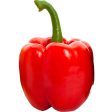 紅椒 - 红椒 - RED BELL PEPPER 1.2-1.6lb Online now