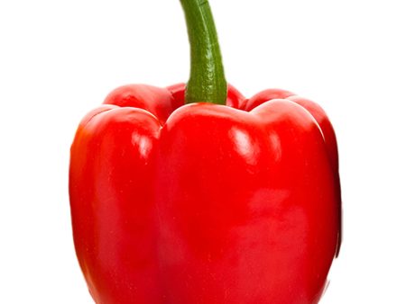 紅椒 - 红椒 - RED BELL PEPPER 1.2-1.6lb Online now