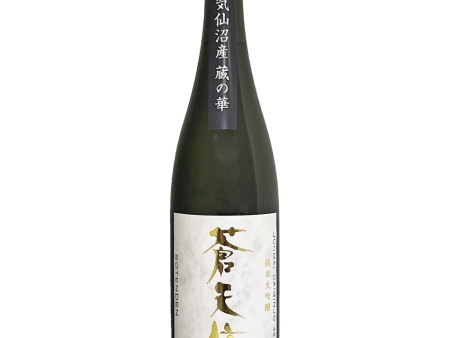 Otokoyama Honten - Sōtenden Junmai Daiginjō 16% 720ml For Sale