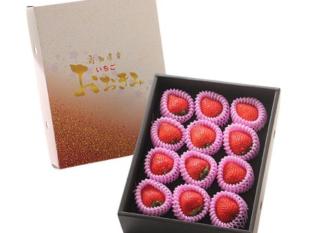 Kochi Premium Okimi Strawberry Gift Box Discount