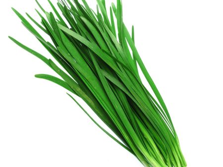 韭菜 - 韭菜 - CHIVES 0.9-1.1lb Supply