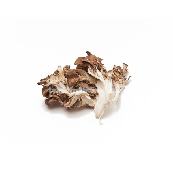 Maitake mushroom Online Sale