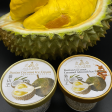 Durian Ice Cream Caramel Almond For Discount