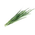 Chinese chive (Nira) For Cheap