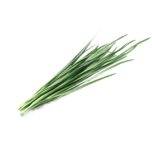 Chinese chive (Nira) For Cheap