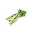 Stick Broccoli (Stick Senor) For Discount