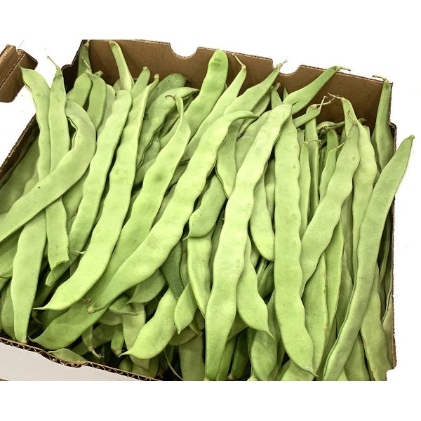 【99熱銷】北京綠龍扁豆 - 刀豆 - PEKING GREEN BEAN 0.9-1LB Online