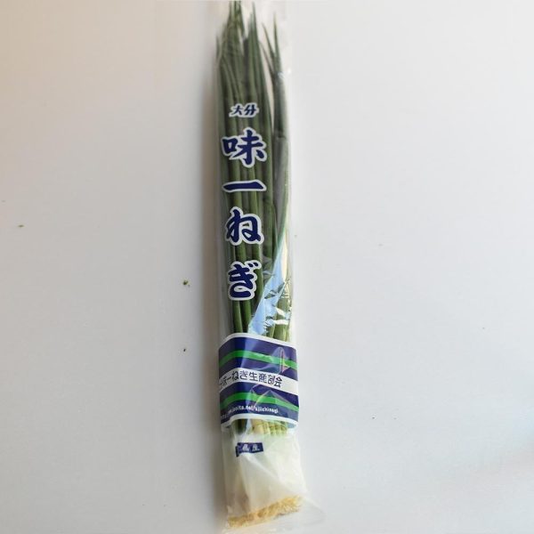 Aji-ichi Negi (green onion) Supply