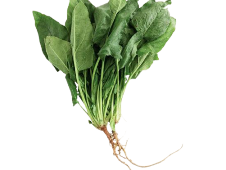 【限時秒殺】台灣菠菜 - 有根菠菜 - TAIWAN SPINACH 1.1-1.3lb Online Sale