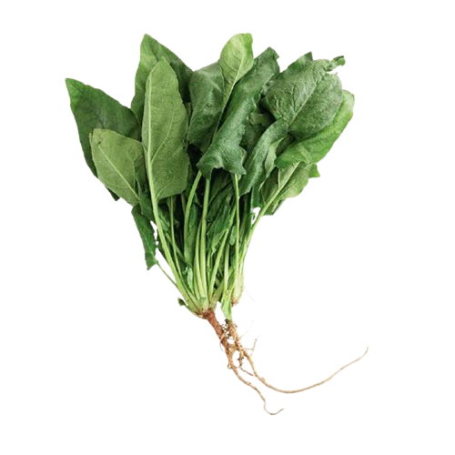 【限時秒殺】台灣菠菜 - 有根菠菜 - TAIWAN SPINACH 1.1-1.3lb Online Sale