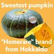 Homerare Pumpkin  approx.1.8kg,  Sweet kabocha from Hokkaido, a renowned region for premium pumpkins. Cheap