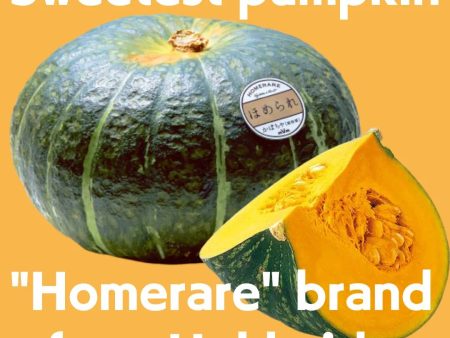 Homerare Pumpkin  approx.1.8kg,  Sweet kabocha from Hokkaido, a renowned region for premium pumpkins. Cheap