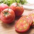 Amela Tomato (bulk) For Discount