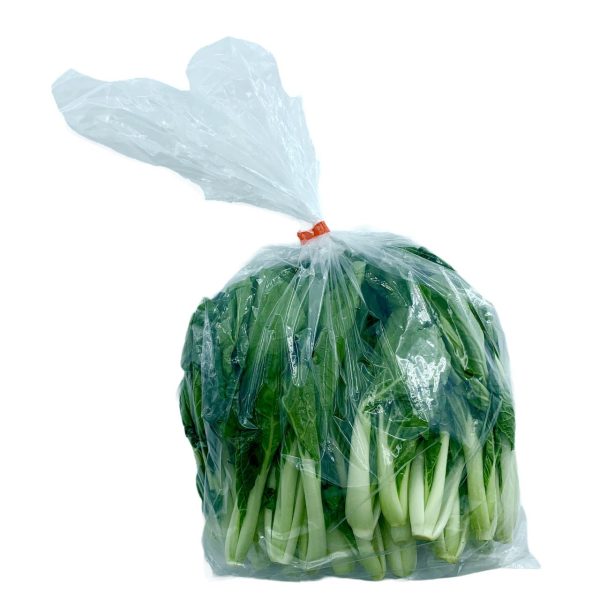 長腳白菜苗 - 长脚白菜苗 - LARGE BOK CHOY MUI  1.4-1.6 lb Sale