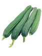 【限時秒殺】勝瓜(截段包裝) - 丝瓜(截段包裝) - CHINESE OKRA 1.8-2.2LB Discount