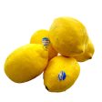 【99熱銷】檸檬 - 柠檬 - LEMON 5EA Pack Online Sale