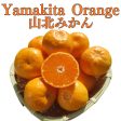 Chinese New Year Special BOX  Yamakita Orange (High Grade)  approx.800g 8pc, traditional oranges with exquisite sweetness and rich depth of flavor from Kochi [Delivery between 27th~28th Jan] Supply