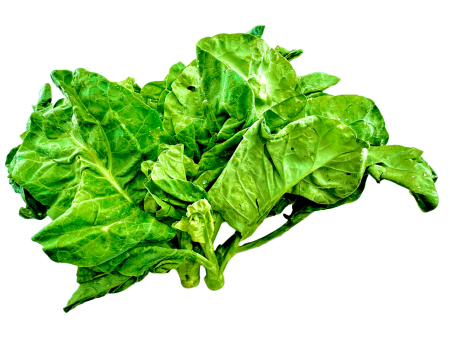 芥蘭 - 芥兰 - GAI LAN 1.4-1.6 lb Supply