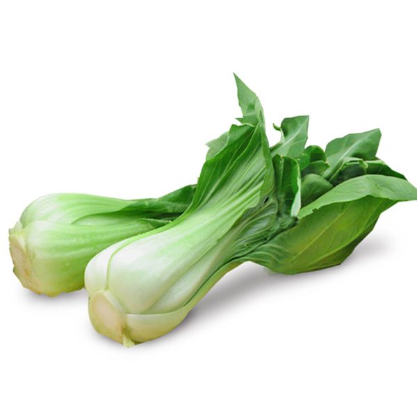 青江菜 - 上海菜 - BABY BOK CHOY 1.9-2.1 lb Supply