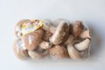 Shiitake mushroom Online Hot Sale