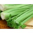 西芹 - 西芹 - CELERY(ea) For Cheap