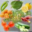 Kochi Vegetables Box [Delivery 23th~25th Jan] Cheap