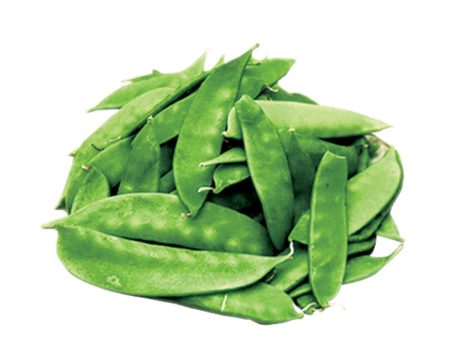 雪豆 - 雪豆 - SNOW PEA 0.9-1.0 lb Fashion