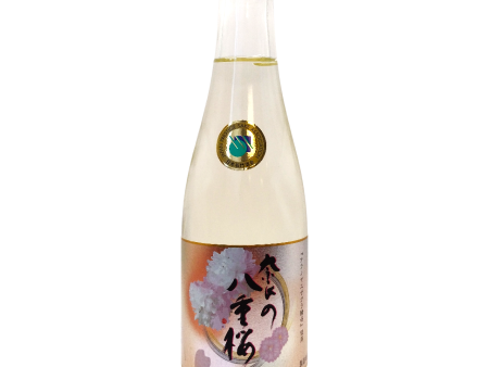 Harushika - Junmai Fleurs de cerisier doubles de Nara 14% 300ml on Sale