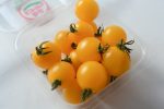 Cherry tomato (yellow) For Discount