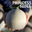 ”Princess Niina Gift Box  approx.1.5kg, from Kochi [Delivery between 7th~8th Feb] Online Sale