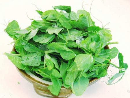 大豆苗 - 大豆苗 - SNOW PEA LEAF 0.9-1 lb pk Discount