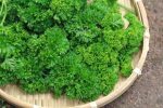 Parsley Cheap