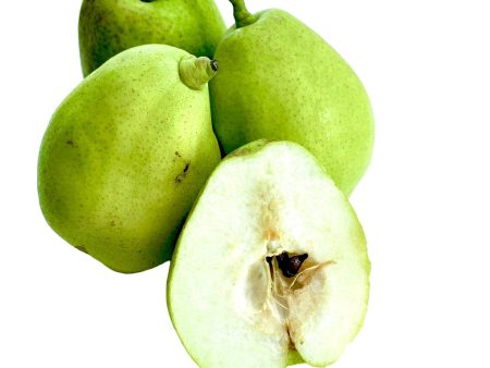 香梨 - 香梨 - Fragrant Pear 1.9-2.1 lb Online Hot Sale