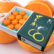 ”Setoka 3kg Gift Box (Top Grade)” “Otoro(fatty tuna) of oranges, known for its rich sweetness from Ehime [Delivery between 7th~8th Feb] For Cheap