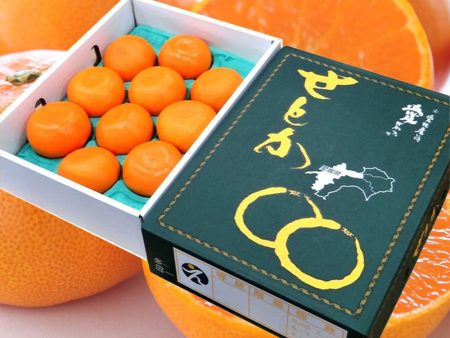 ”Setoka 3kg Gift Box (Top Grade)” “Otoro(fatty tuna) of oranges, known for its rich sweetness from Ehime [Delivery between 7th~8th Feb] For Cheap