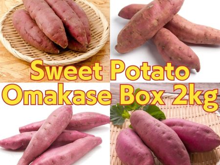 Sweet Potato Box 2kg (subscription 15%OFF) Fashion