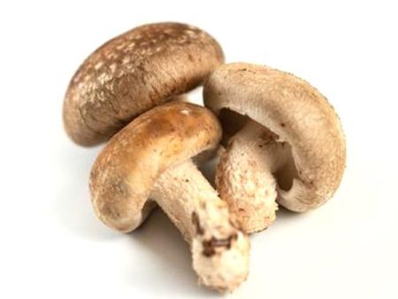 Shiitake mushroom Online Hot Sale