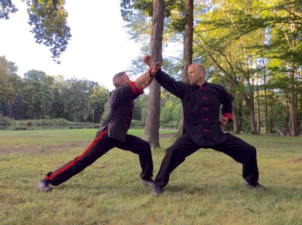 A Brass Hammer on an Iron Anvil (Tung Chui Tui Tieh Chan) from Northern 5-Animal Shaolin (2 man set ) Cheap