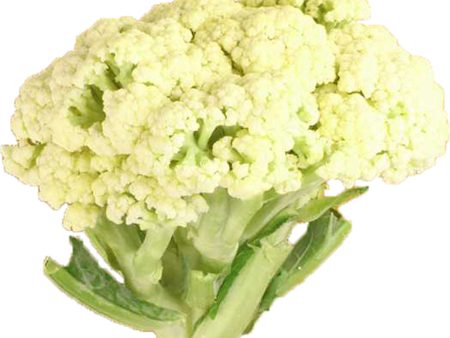 台山花椰菜 - 台山花椰菜 - CHINESE CAULIFLOWER 2.3-2.5 lb Online