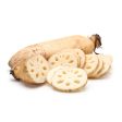 【99熱銷】蓮藕 - 莲藕 - LOTUS ROOT 2.5-2.8 lb on Sale