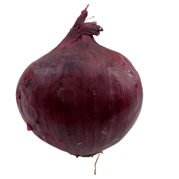 紅洋蔥 - 红洋葱 - RED ONION 1.9-2.1lb For Discount