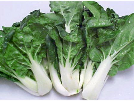 矮腳白菜心 - 奶油菜 - SMALL BOK CHOY SUM 1.4-1.6LB Sale