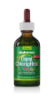 Liquid Chlorophyll WITH MINT - 60 ML Discount